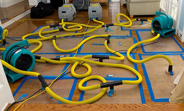 Professional Structural Drying And Dehumidification technician working in Kincaid, WV